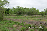 Photo #5 of 5 +/- Acres located in the 1300 Block of West Tilden St, Cotulla, TX